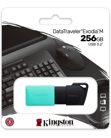 Clé USB Kingston DataTraveler Exodia 256 Go USB 3.2 GEN 1