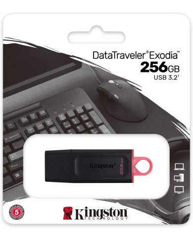 Clé USB Kingston DataTraveler Exodia 256 Go USB 3.2 GEN 1