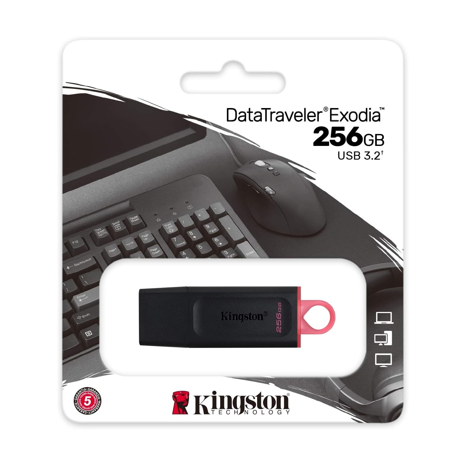 Clé USB Kingston DataTraveler Exodia 256 Go USB 3.2 GEN 1