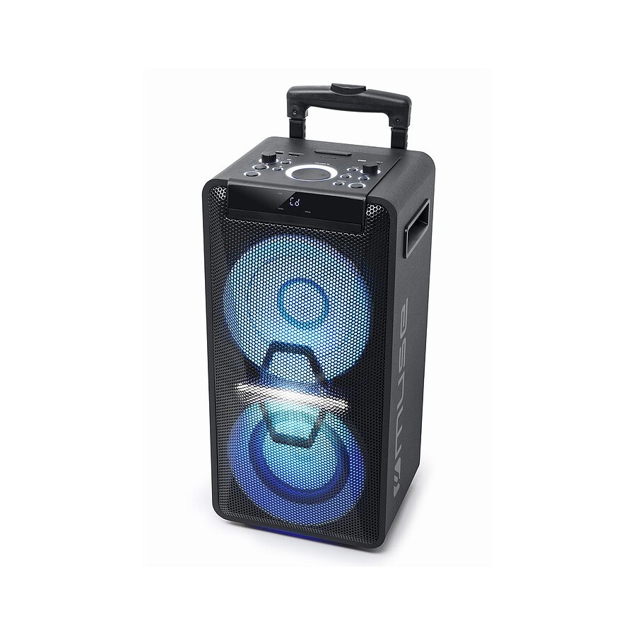 ENCEINTE DJ HAUTE PUISSANCE MUSE M-1920 DJ - 300W