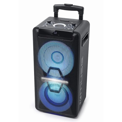 ENCEINTE DJ HAUTE PUISSANCE MUSE M-1920 DJ - 300W