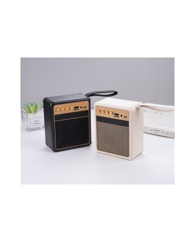 Enceinte Portable Bluetooth - M36