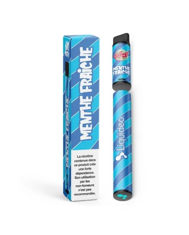 Boite de 10 Liquideo Wpuff Pod Menthe Fraîche - 600 puffs (Batteries + 10 Pods)