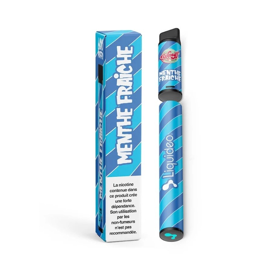 Boite de 10 Liquideo Wpuff Pod Menthe Fraîche - 600 puffs (Batteries + 10 Pods)